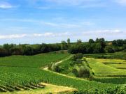 Ferien- Und Winzerhof Simon