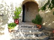 Top Orthés Top Orthés