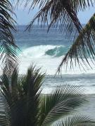 5 Bedrooms Beach House