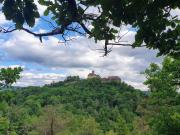 Zentral gelegenes Apartment am Fuße der Wartburg