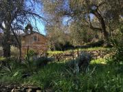 Modernes Casa Camillo im Olivenhain