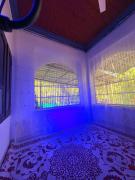 sahara dua jungle farmstay