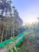 Top Wayanad
