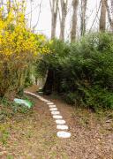 Top Conflans-Sainte-Honorine