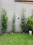 Top Balneário Barra do Sul