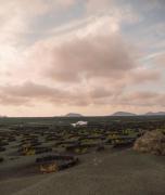 Canaryislandshost I Viñedos Canaryislandshost I Viñedos