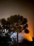 Top São Francisco de Paula