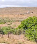 Top Stompneusbaai