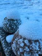 Top Bad Rippoldsau-Schapbach