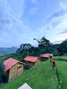 Top La Vega Top La Vega