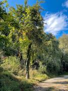 Top La Chapelle-Caro