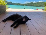 Top Ko Phi Phi Top Ko Phi Phi