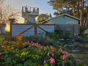 Top Mendocino