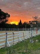 Incanto Chic B&B nelle Scuderie