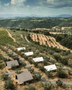 Top Montelupo Fiorentino Top Montelupo Fiorentino