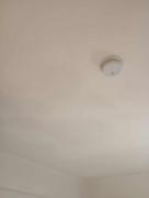 Top Palekastron Top Palekastron