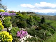 Top Wasserburg am Bodensee