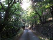 Loft de Charme La Rose Désirée