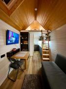 Tiny house & Sauna - Alejas