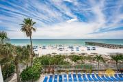 Beach Palms 409
