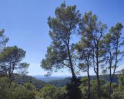 Charmant studio vue piscine idéal en couple, calme et détente assurés