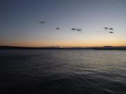 Top Crikvenica
