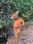 Top Chaumont-Gistoux