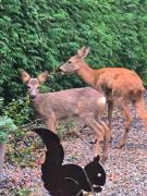 Top Chaumont-Gistoux