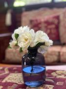 La Pinocha Casa de Campo