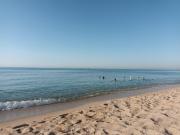 Top Badalona