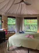 Safari tent with private pool close to Manuel Antonio Glamping 2