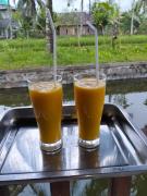 Top Tetebatu Top Tetebatu