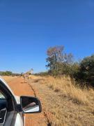 Top Cullinan