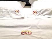 Residence Roman