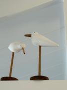 Top De Haan Top De Haan