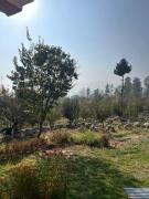 The Mool Farm and Living