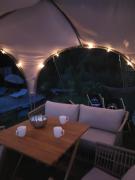 Top Adamow Top Adamow