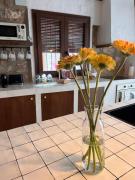 Top Mora de Rubielos Top Mora de Rubielos