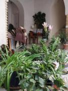 Top Sanlúcar de Barrameda