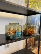 Top Limbach - Oberfrohna