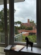 Widok na Zamek Widok na Zamek