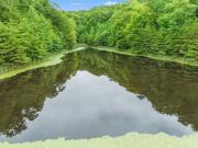 Top Stanton Top Stanton