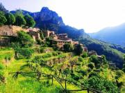 Studio isolated in a natural case