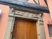 Le petit nid de cigogne