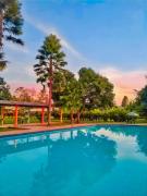 Puerto Quito Lodge - Las Iguanas