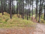 8 person holiday home in Rømø-By Traum