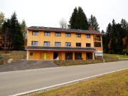 Dog-friendly holiday apartment in Bregenzerwald