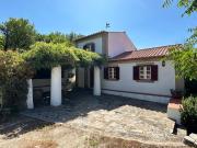 Top Castelo de Vide Top Castelo de Vide