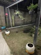 Top San Francisco Chinameca