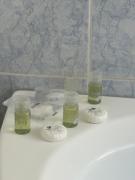 Central location-Bucharest